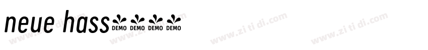 neue hass字体转换